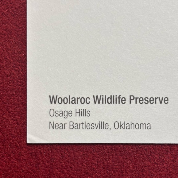 Vintage Oklahoma Scenic Postcards, 6 Unused - Picture 10 of 14